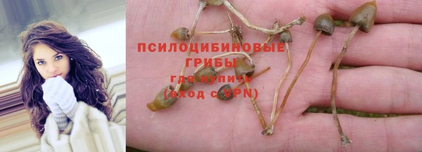 круглые Дмитровск