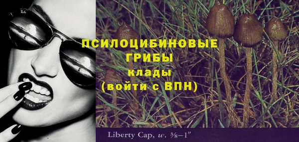 прущий лед Гусев