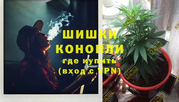 спиды Тында