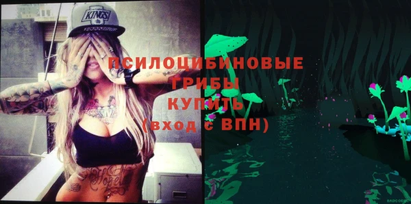 молекула духа Дмитриев