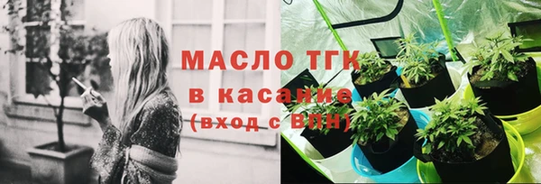 молекула духа Дмитриев
