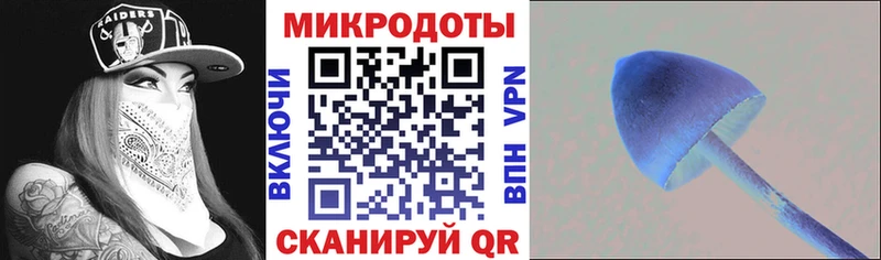 гидра ссылка  Горбатов  Псилоцибиновые грибы Psilocybe 